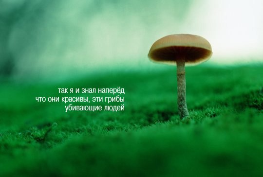   - 12  2014  15:17