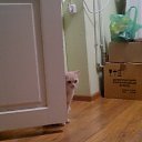 ���� ����, �����-��������� - ��������� 3 ������� 2014 � ������ ���� ����������