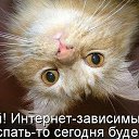 ���� ������, ����, 47 ��� - ��������� 12 ������� 2014 � ������ ������ ��������