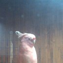 ���� Valentin, �������, 46 ��� - ��������� 28 ������� 2014 � ������ �1�