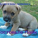���� �������, ��������, 60 ��� - ��������� 20 �������� 2014 � ������ ������-�����...�