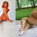 ���� �����, ��������, 59 ��� - ��������� 16 ������� 2014 � ������ ������ ��������