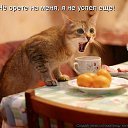 ���� �����, �������� - ��������� 19 ������ 2014 � ������ ������ ��������