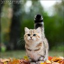 ���� �����, ������, 52 ���� - ��������� 28 �������� 2014 � ������ ������ ��������