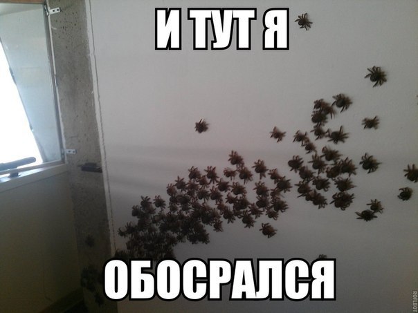 Art & Fun - 22  2014  00:10