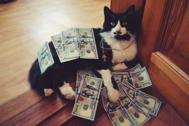 SWAG bitch