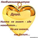 ���� @˸��@, ������ �������� - ��������� 24 �������� 2014 � ������ ������ ��������