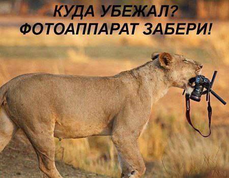 !  - ! fotostrana.ru/public/235642/