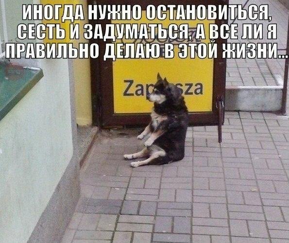 ������� ��������� - 24 �������� 2014 � 13:37
