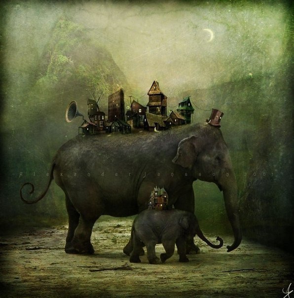  Alexander Jansson - 2