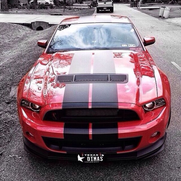 Shelby GT500.