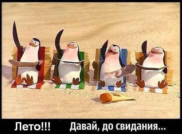 Art & Fun - 3  2014  08:35