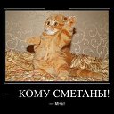 ���� ���� ))), ������ - ��������� 21 �������� 2014 � ������ ������ ��������