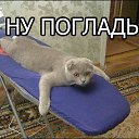 ���� ������., ������, 65 ��� - ��������� 30 ������ 2014 � ������ ������ ��������