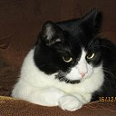 ���� ���������, ����-�����������, 48 ��� - ��������� 25 ������� 2014 � ������ ���� ����������