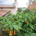 �����. ������� ������. �� ������� ����� ������ � ������ (�������)�