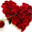  , -, 62  -  19  2014   