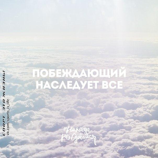  -   - 17  2014  22:07