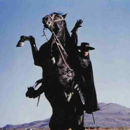 Zorro, �����-���������, 41 ���