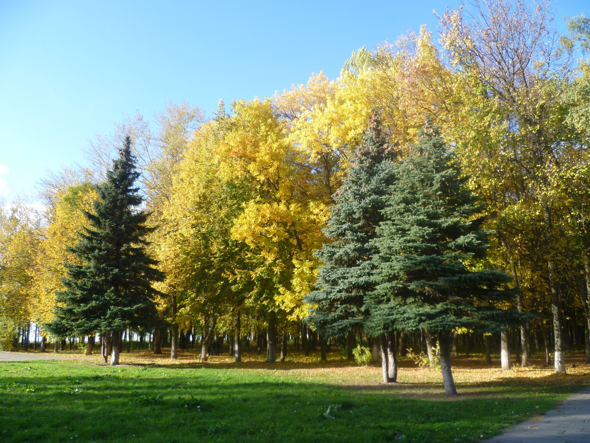 � ���� ������, � ���� ------&mdash; �����..