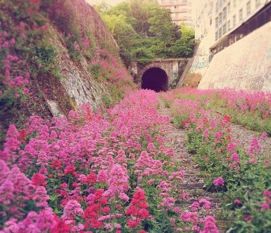    Petite Ceinture, 