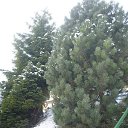 ���� �����, ����������, 55 ��� - ��������� 10 ������� 2014 � ������ ���� ���