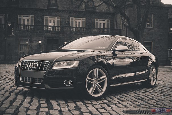 Audi - ,   . Audi -    .  ,  ,  ...