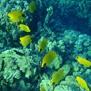 ���� Tamara, �����, 66 ��� - ��������� 23 �������� 2014 � ������ ������ ��������