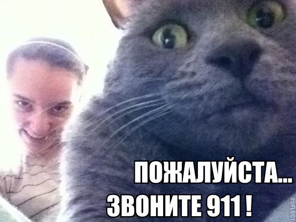       - 6  2014  13:55