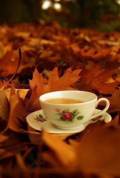   ,     .  ,   .   ,  ... - 2