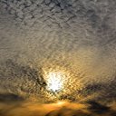 ���� Aleksey, ���������, 44 ���� - ��������� 16 ������� 2014 � ������ ���� ����������