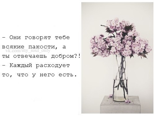 We have a cozy and warm .. - 13  2014  18:46