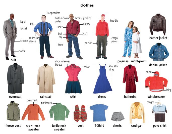  :  Clothes , blouse , trousers  tie  jumper ...