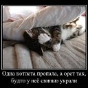  N..., , 47  -  16  2014       )))