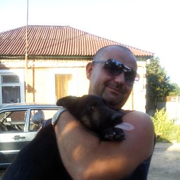 �����, ������, 49 ���