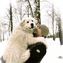  Ivan, , 40  -  7  2014    