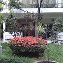  ,  -  4  2014    2014