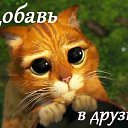 ���� �������, �����������, 39 ��� - ��������� 20 �������� 2014 � ������ ������ ��������