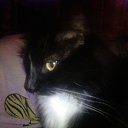 ���� ������, �����-���������, 55 ��� - ��������� 17 ������� 2014 � ������ ���� ����������