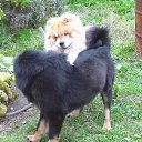 ���� Leonid, ������������, 55 ��� - ��������� 22 ������� 2014 � ������ ���� ����������