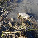  , , 60  -  28  2014     (    )