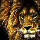 ���� �����, ������ - ��������� 17 ������� 2014 � ������ �animals�