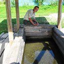 ���� �������, ������, 51 ��� - ��������� 8 ������� 2014 � ������ ���� ����������