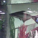 ���� ������, �����-���������, 73 ���� - ��������� 14 ������� 2014 � ������ ������ ��������