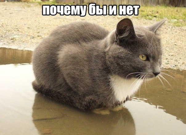    :-) - 23  2014  20:03
