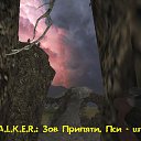  ,  -  5  2014   S.T.A.L.K.E.R. .