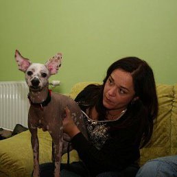 �����, ����, 57 ���