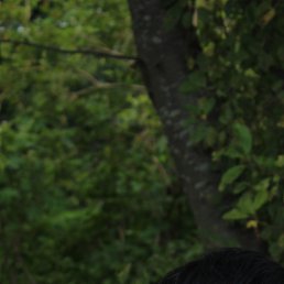 ��������, ���������, 49 ���