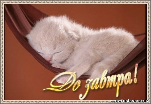  , !!  ٨       ڨ!!  ... - 3