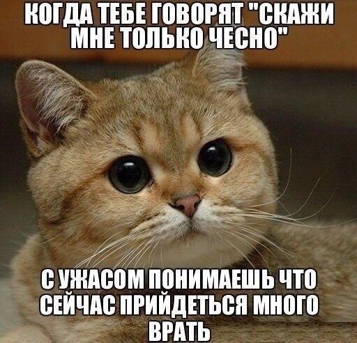    :D - 11  2014  10:50